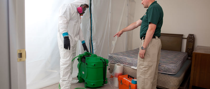Houston, TX mold removal process